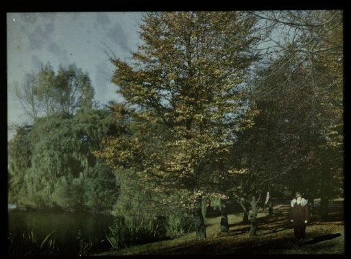 View in Wilhelminapark with a woman in the foreground, possibly Tine Olie