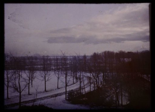View over a snow-covered park