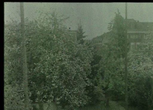 View in a garden or park
