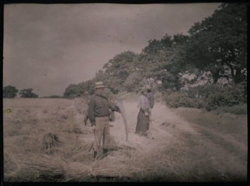 Farmers mowing, Westerbork
