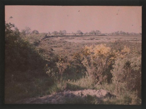 Reclamation in Drenthe