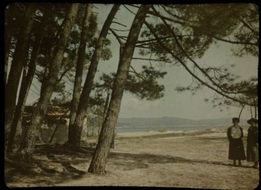 Two women, possibly Tine and Fifi, standing under trees, with a lake in the background