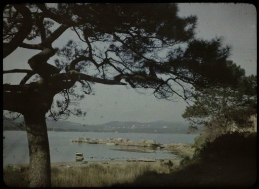 View of a lake with a pier, with a tree in the foreground