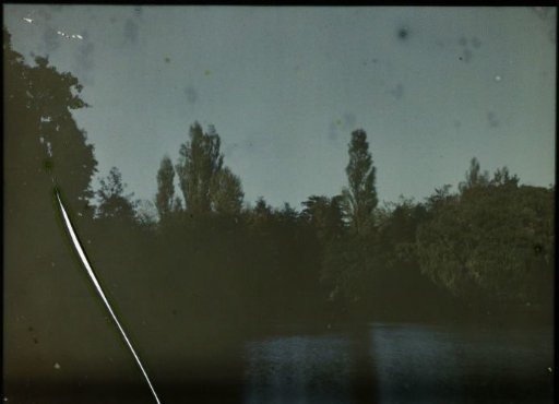 View of a lake surrounded by trees
