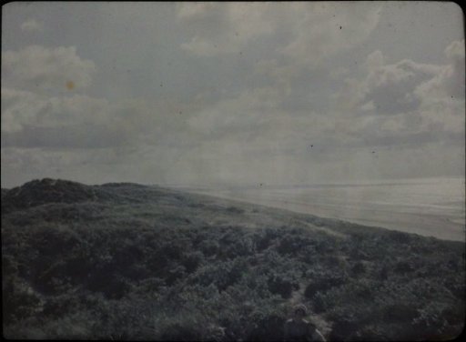 View over the sea, with vegetated dunes in the foreground