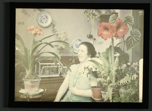 Tine in the Conservatory