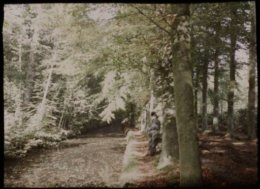 Man standing under trees along the water