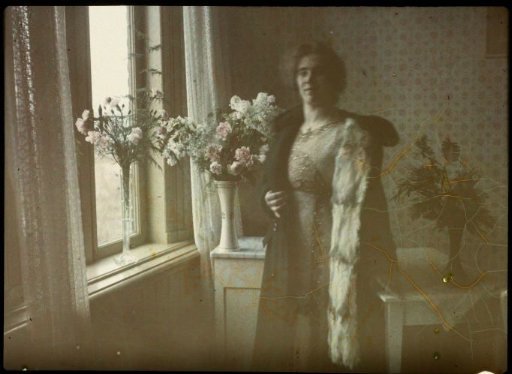 Tine beside the Window in the Guest Room