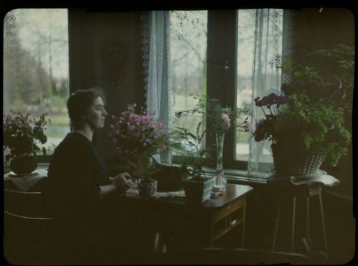 Portrait of Tine seated by a window, surrounded by flowers in vases, pots, and a basket