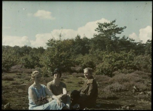 Fifi (left), Tine (center), and Aagje seated on a heath field