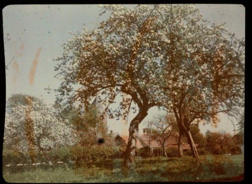 View of an Orchard at Bunnik, with the Dutch Reformed Church in the Background