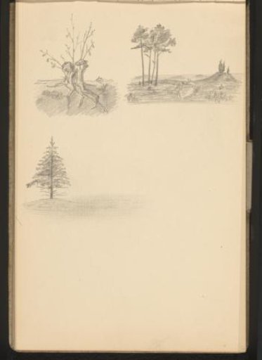 Compositions with Trees in Landscapes