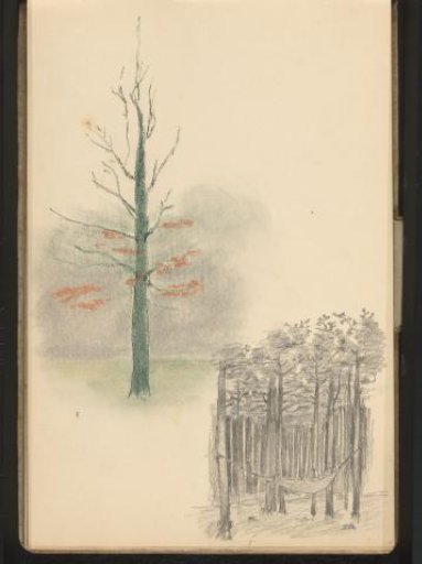 Composition with a tree and a figure reading in a hammock