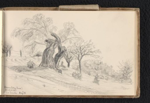 Field with Trees on the Herrenberg in Luxembourg
