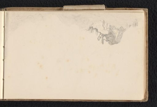 Fragment of a Mountain Ridge with Some Coniferous Trees