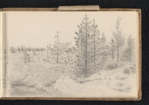 Heath Landscape in De Bilt