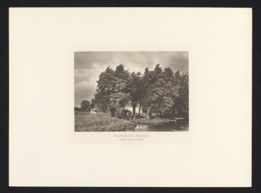 Peasant landscape with trees