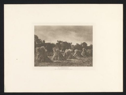 Sheaves of grain in a meadow