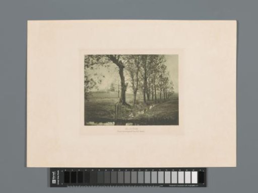 Ditch between meadows