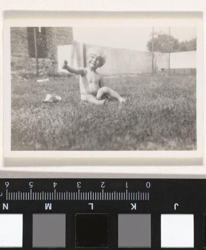 Small child sitting in a garden