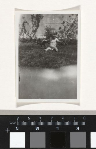 Small Child Sitting in a Garden