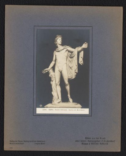 Apollo Belvedere
