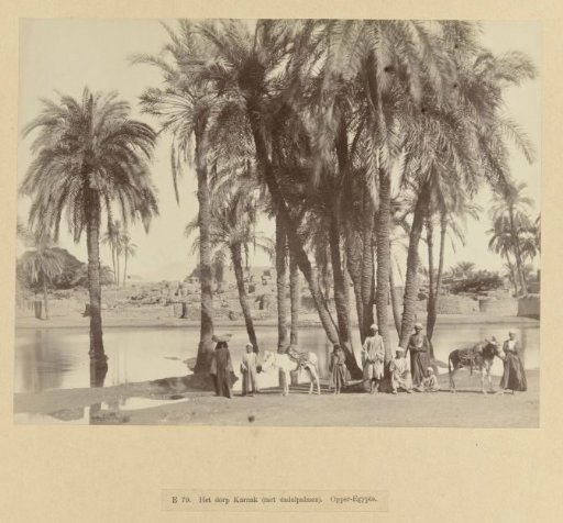 Oasis with date palms near Karnak