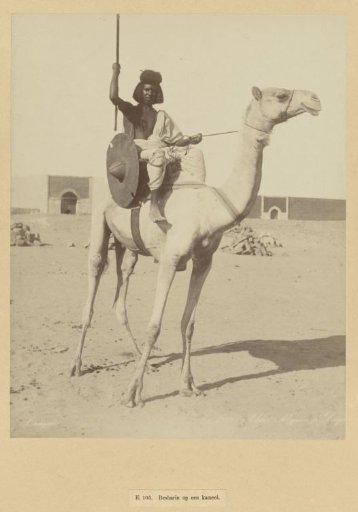 Portrait of an unknown Bishari soldier on a camel