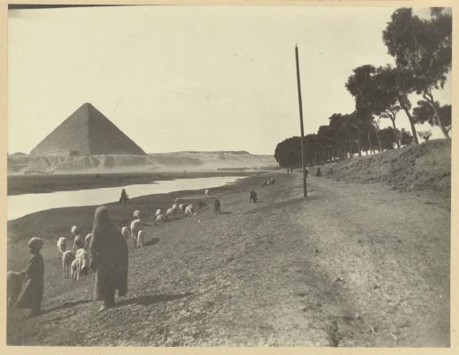 Shepherd with a flock on the bank of the Nile, with the Pyramid of Cheops in the background
