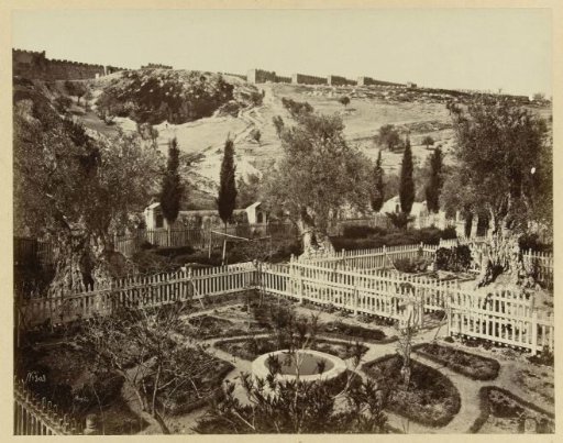 View of the Garden of Gethsemane, Jerusalem