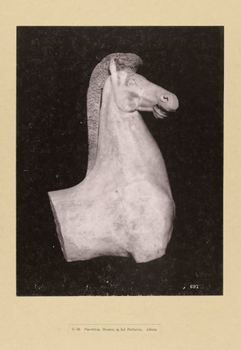 Statue of a horse