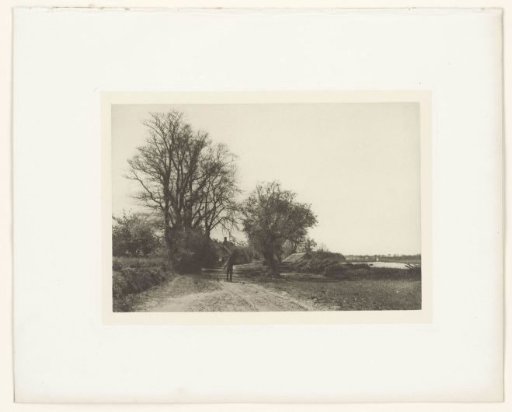Landscape with Trees in Norfolk