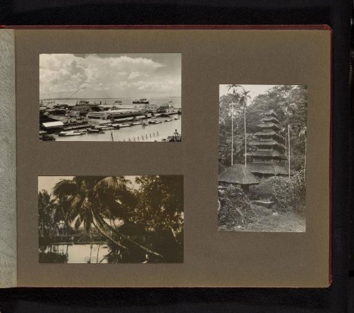 View of buildings on the coast, View of a palm tree by water, and View of a temple