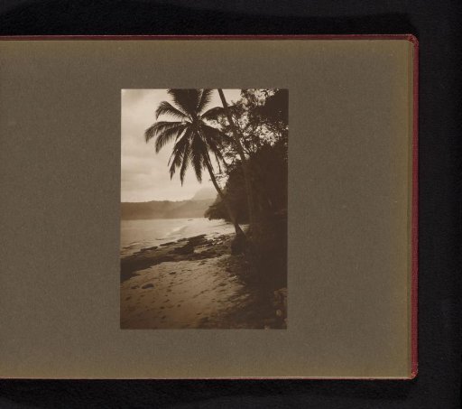 Beach view