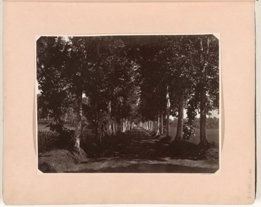 Avenue to Magelang, viewed from the direction of the Borobudur