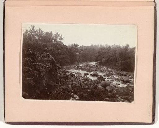 View of a river