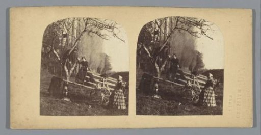 Man Climbing a Tree for His Hat