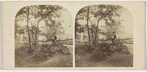 Seated Man on a Fence (Great Britain?)