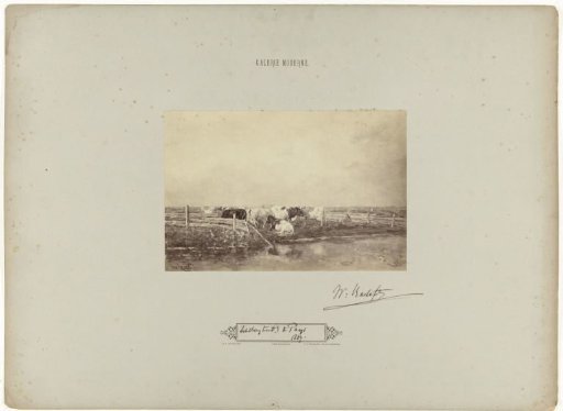 Photographic reproduction of the painting Milkmaid at the Schie