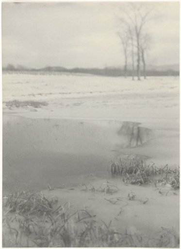 Snow Landscape