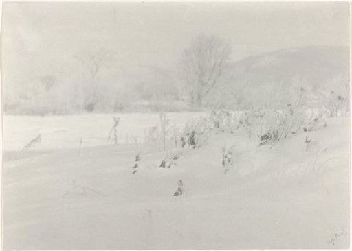 Snow Landscape