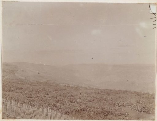 Landscape in Lebanon
