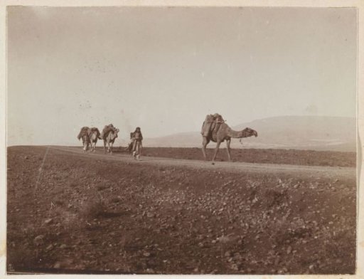 Caravans in the Bekaa Valley on the way to Baalbek, Lebanon, and Palmyra, Syria