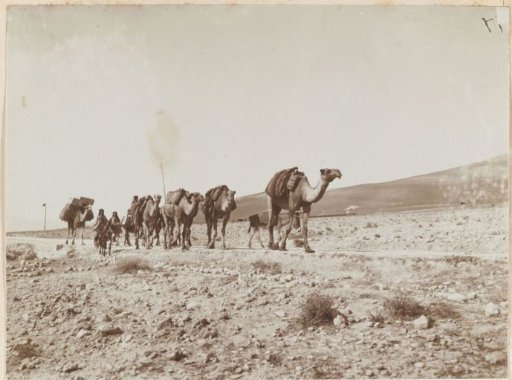 Caravans in the Bekaa Valley on the way to Baalbek, Lebanon, and Palmyra, Syria