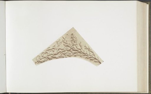 Plaster model for a decoration on the Palais du Louvre: leaves by Auguste Jean Baptiste Lechesne
