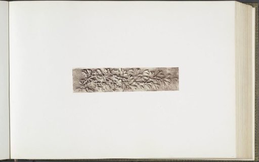 Detail of a plaster model for the frieze on the Palais du Louvre by Léon Falconnier