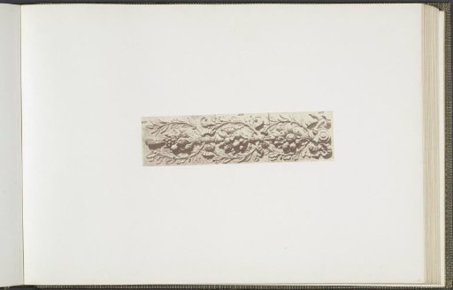 Plaster model for a leaf decoration on the Palais du Louvre
