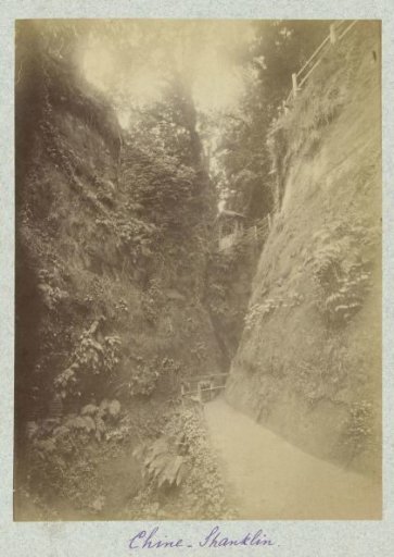 View of the Shanklin Chine