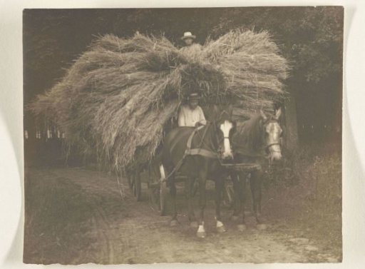 Horse and cart loaded with hay