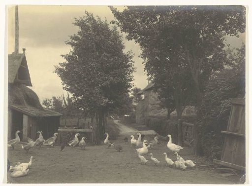 Farmyard with poultry of a farm in Vaassen